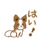 パピヨン 犬スタンプ（個別スタンプ：1）