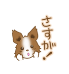 パピヨン 犬スタンプ（個別スタンプ：4）