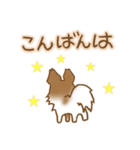 パピヨン 犬スタンプ（個別スタンプ：11）