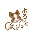 パピヨン 犬スタンプ（個別スタンプ：21）