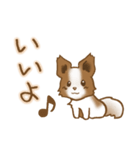 パピヨン 犬スタンプ（個別スタンプ：29）