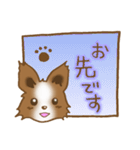 パピヨン 犬スタンプ（個別スタンプ：38）