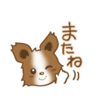 パピヨン 犬スタンプ（個別スタンプ：39）