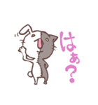 猫うさ キメラ（個別スタンプ：5）