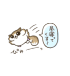 ビリマリ のんびりデイズ（個別スタンプ：19）