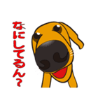 鼻デカ犬（個別スタンプ：3）