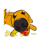 鼻デカ犬（個別スタンプ：5）