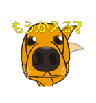 鼻デカ犬（個別スタンプ：9）