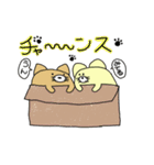 ぶたたま。その5（個別スタンプ：3）