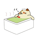 あいねこさん（個別スタンプ：35）