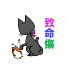 はむとくろ（個別スタンプ：16）