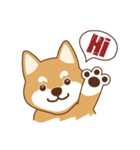 Shiba Inu - Gifaye's life（個別スタンプ：1）