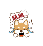 Shiba Inu - Gifaye's life（個別スタンプ：3）