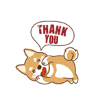 Shiba Inu - Gifaye's life（個別スタンプ：5）