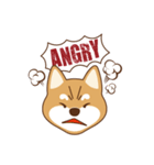 Shiba Inu - Gifaye's life（個別スタンプ：8）