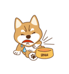 Shiba Inu - Gifaye's life（個別スタンプ：15）