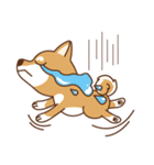 Shiba Inu - Gifaye's life（個別スタンプ：16）