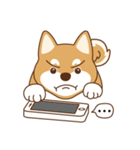 Shiba Inu - Gifaye's life（個別スタンプ：17）