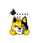 Shiba Inu - Gifaye's life（個別スタンプ：24）