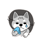 Shiba Inu - Gifaye's life（個別スタンプ：26）