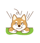 Shiba Inu - Gifaye's life（個別スタンプ：35）