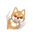 Shiba Inu - Gifaye's life（個別スタンプ：39）