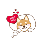 Shiba Inu - Gifaye's life（個別スタンプ：40）