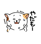 気弱な猫ちゃん（個別スタンプ：8）