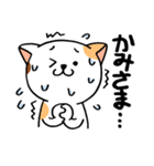 気弱な猫ちゃん（個別スタンプ：34）