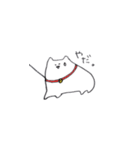 しろいの。（個別スタンプ：13）