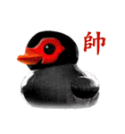 Taiwan Ginger Duck（個別スタンプ：1）