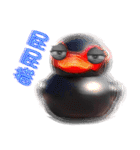 Taiwan Ginger Duck（個別スタンプ：7）