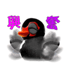 Taiwan Ginger Duck（個別スタンプ：9）