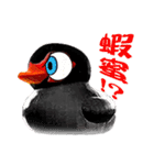 Taiwan Ginger Duck（個別スタンプ：10）