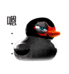 Taiwan Ginger Duck（個別スタンプ：25）