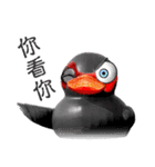 Taiwan Ginger Duck（個別スタンプ：29）