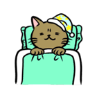 しかめっつらねこさんズ（個別スタンプ：24）