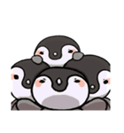 皇帝ペンギンの赤ちゃん1（個別スタンプ：2）