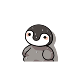 皇帝ペンギンの赤ちゃん1（個別スタンプ：28）