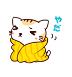 たおるねこ（個別スタンプ：5）