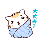 たおるねこ（個別スタンプ：13）