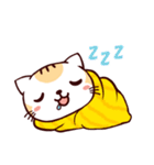 たおるねこ（個別スタンプ：27）