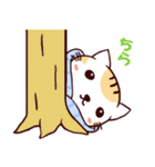 たおるねこ（個別スタンプ：37）