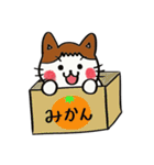 三毛猫みーたん（個別スタンプ：34）