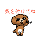 帰り待つトイプードル（個別スタンプ：7）