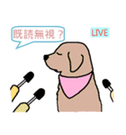 犬村 news (日本語)（個別スタンプ：3）