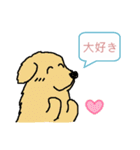 犬村 news (日本語)（個別スタンプ：15）