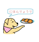 犬村 news (日本語)（個別スタンプ：18）