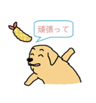 犬村 news (日本語)（個別スタンプ：20）