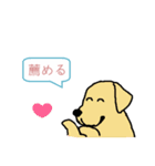 犬村 news (日本語)（個別スタンプ：22）